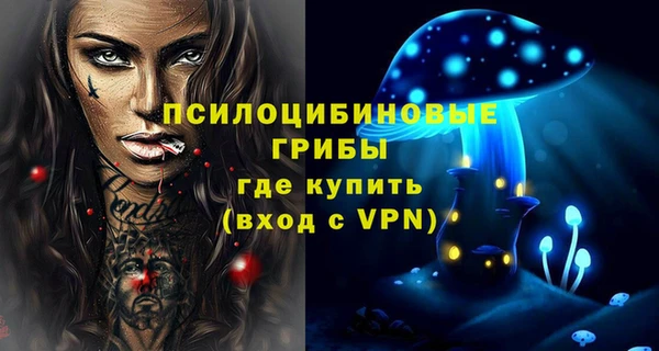 мдпв Волосово