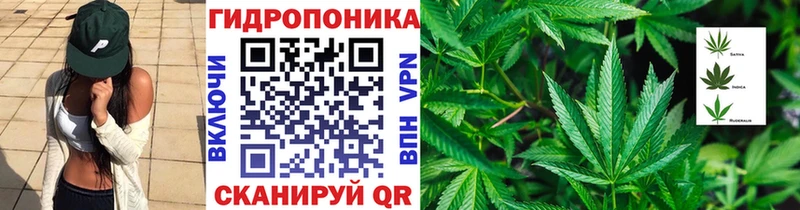 Каннабис OG Kush  Жирновск 